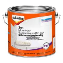 ALAB. 2IN1 MUURVERF BADK. & KEUKEN SCHIMMELBEST.2,5LTR